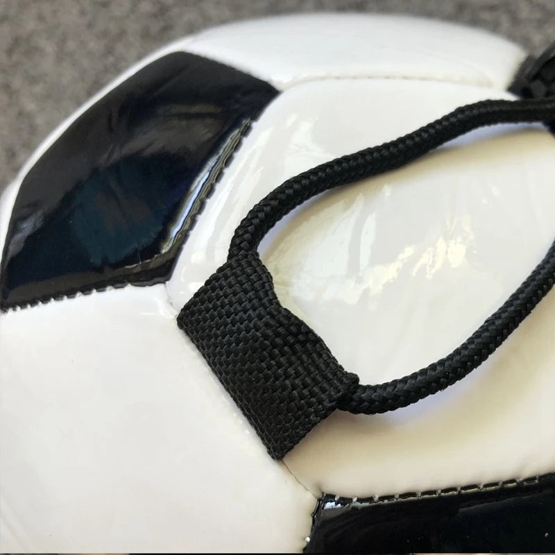 SoloMaster Trainer Ball
